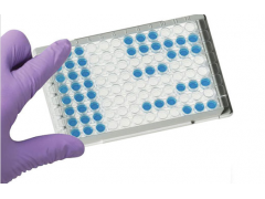 人基质金属蛋白酶9/明胶酶B检测试剂盒厂家/报价_供应产品_上海钰博生物科技
